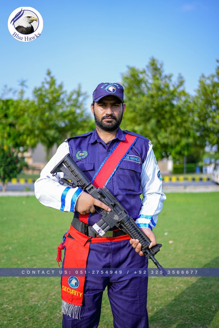 Consultancy & Training